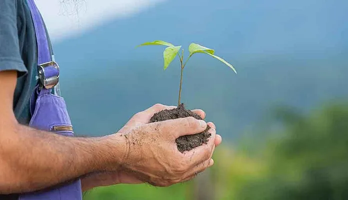 A Home for You, A Tree for the Planet